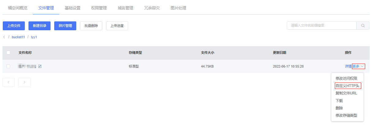 99-自定义HTTP头.png